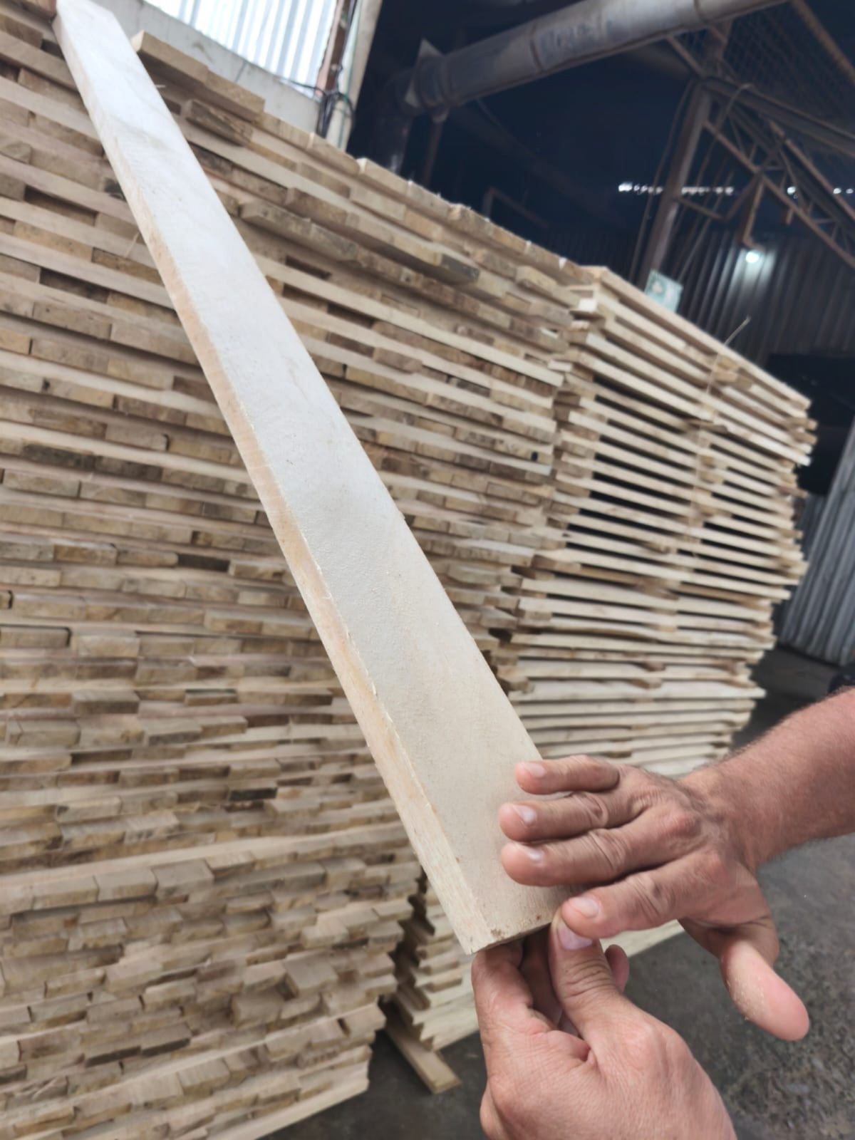 Gmelina quality control