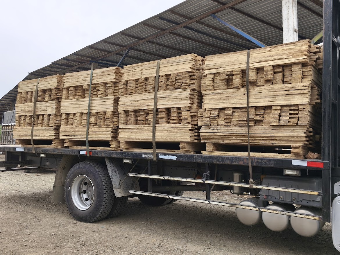 Gmelina export process