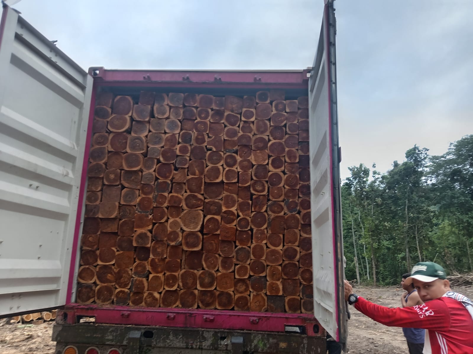 Teak logistics