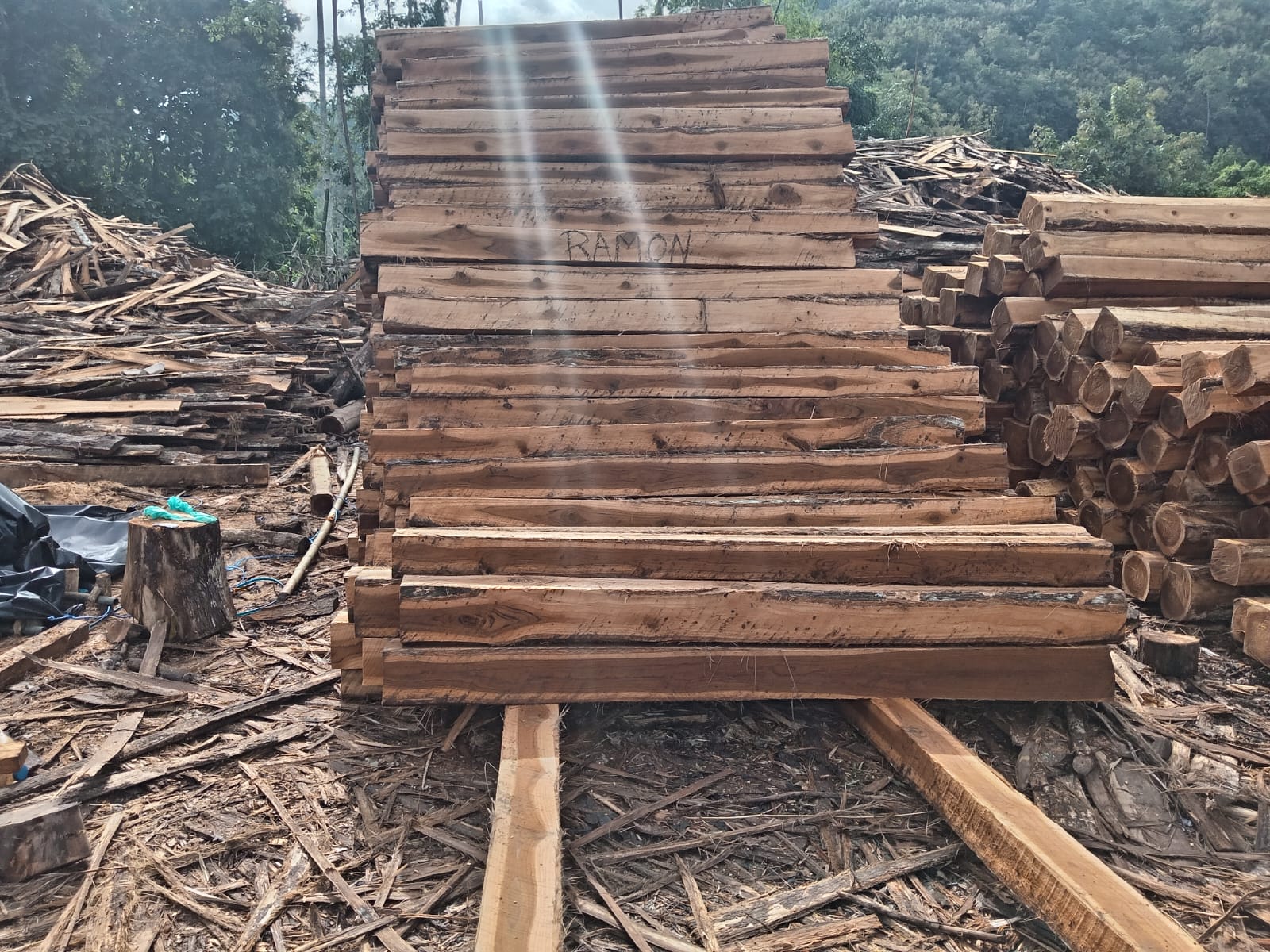 Teak processing